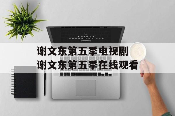 谢文东第五季电视剧 谢文东第五季在线观看-第1张图片-