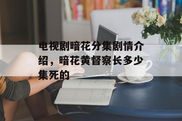 电视剧暗花分集剧情介绍，暗花黄督察长多少集死的-第1张图片-