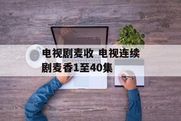 电视剧麦收 电视连续剧麦香1至40集-第1张图片-