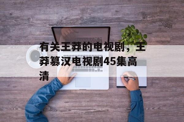 有关王莽的电视剧，王莽篡汉电视剧45集高清-第1张图片-