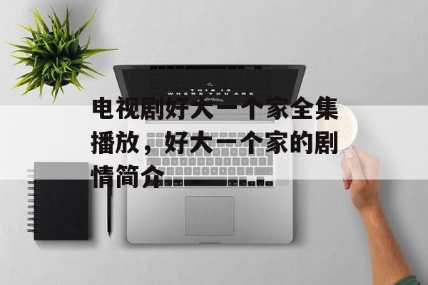 电视剧好大一个家全集播放，好大一个家的剧情简介-第1张图片-