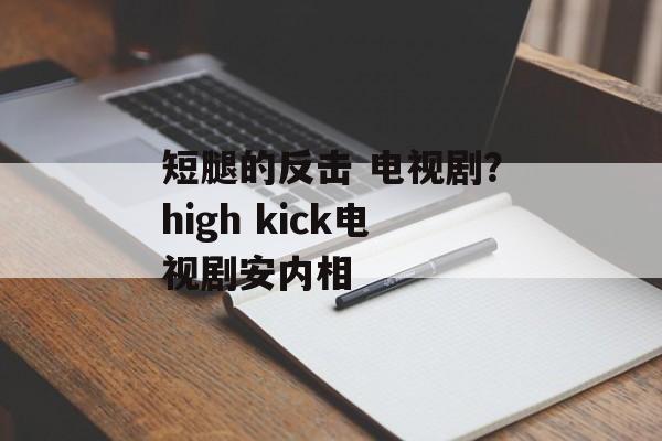 短腿的反击 电视剧？high kick电视剧安内相-第1张图片-