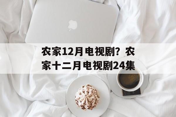 农家12月电视剧？农家十二月电视剧24集-第1张图片-