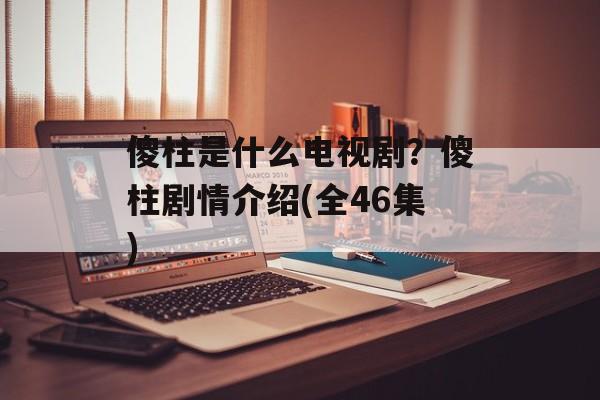 傻柱是什么电视剧？傻柱剧情介绍(全46集)-第1张图片-