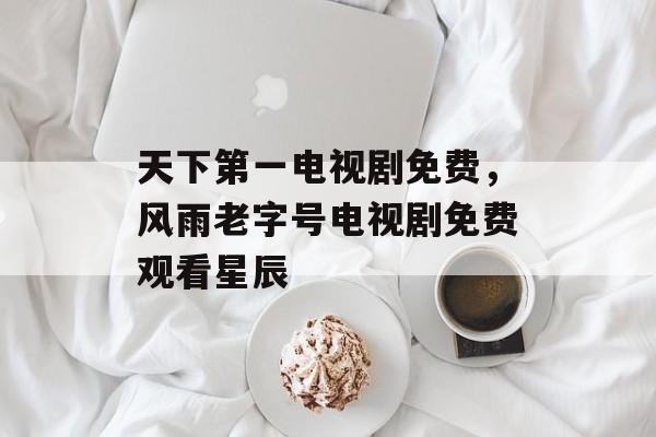 天下第一电视剧免费，风雨老字号电视剧免费观看星辰-第1张图片-