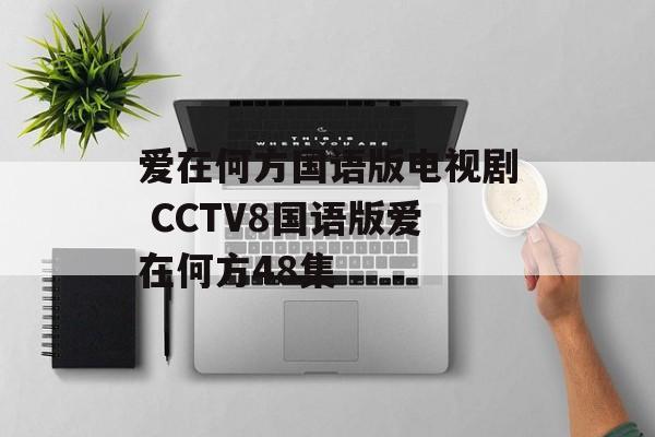 爱在何方国语版电视剧 CCTV8国语版爱在何方48集-第1张图片-