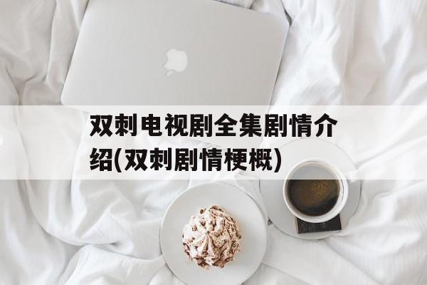 双刺电视剧全集剧情介绍(双刺剧情梗概)-第1张图片-