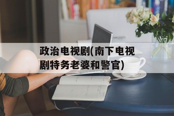 政治电视剧(南下电视剧特务老婆和警官)-第1张图片-