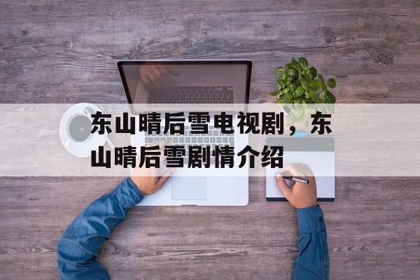 东山晴后雪电视剧，东山晴后雪剧情介绍-第1张图片-