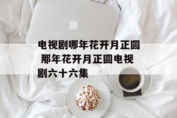 电视剧哪年花开月正圆 那年花开月正圆电视剧六十六集-第1张图片-