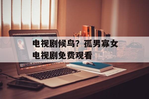 电视剧候鸟？孤男寡女电视剧免费观看-第1张图片-