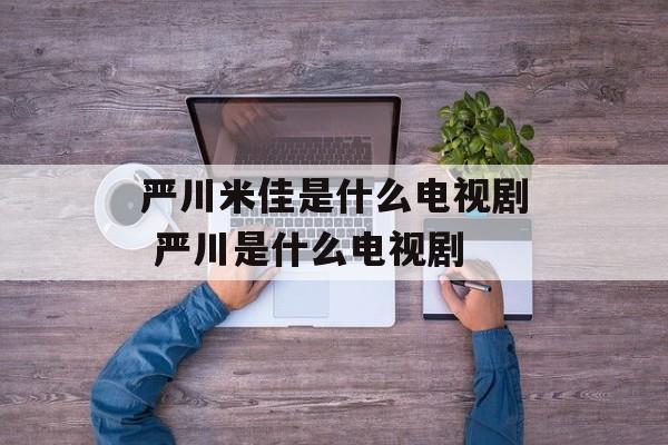 严川米佳是什么电视剧 严川是什么电视剧-第1张图片-
