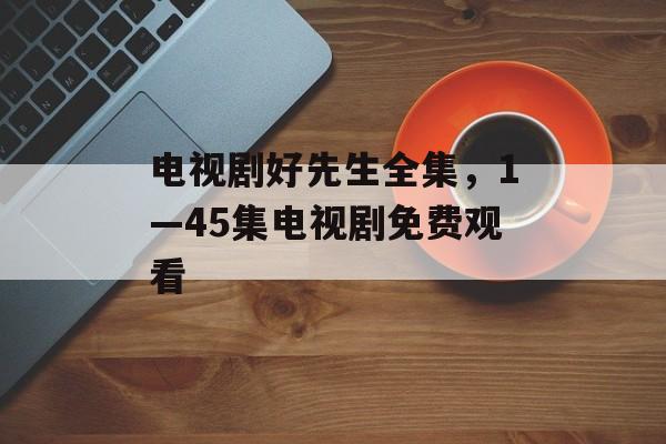 电视剧好先生全集，1—45集电视剧免费观看-第1张图片-