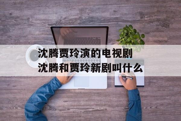 沈腾贾玲演的电视剧 沈腾和贾玲新剧叫什么-第1张图片-