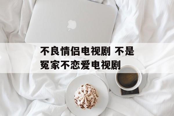 不良情侣电视剧 不是冤家不恋爱电视剧-第1张图片-