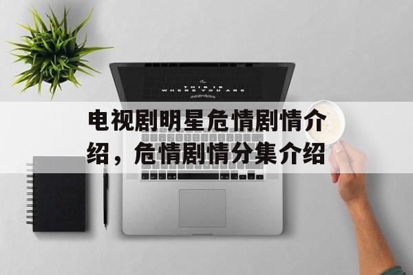 电视剧明星危情剧情介绍，危情剧情分集介绍-第1张图片-