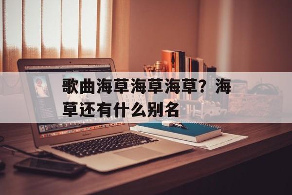 歌曲海草海草海草？海草还有什么别名-第1张图片-