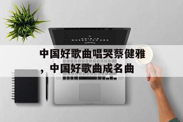 中国好歌曲唱哭蔡健雅，中国好歌曲成名曲-第1张图片-