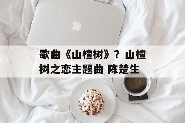 歌曲《山楂树》？山楂树之恋主题曲 陈楚生-第1张图片-