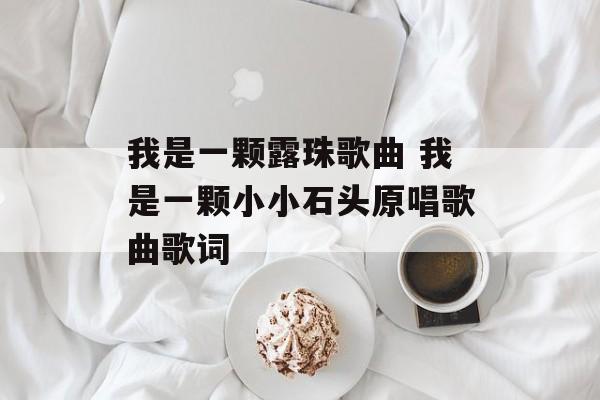 我是一颗露珠歌曲 我是一颗小小石头原唱歌曲歌词-第1张图片-