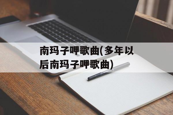 南玛子呷歌曲(多年以后南玛子呷歌曲)-第1张图片-