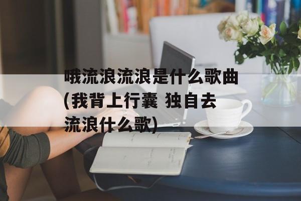 哦流浪流浪是什么歌曲(我背上行囊 独自去流浪什么歌)-第1张图片-
