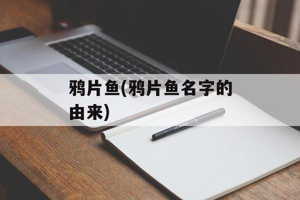 鸦片鱼(鸦片鱼名字的由来)-第1张图片-
