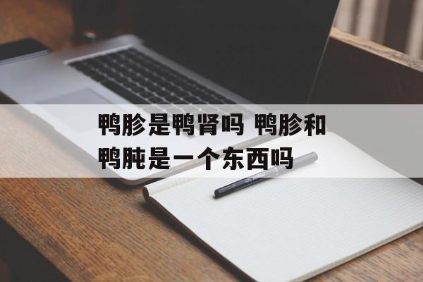 鸭胗是鸭肾吗 鸭胗和鸭肫是一个东西吗-第1张图片-