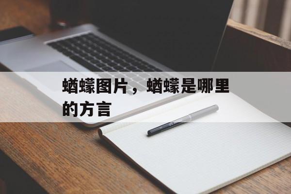 蝤蠓图片，蝤蠓是哪里的方言-第1张图片-