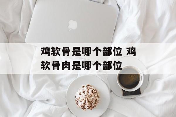 鸡软骨是哪个部位 鸡软骨肉是哪个部位-第1张图片-