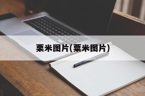 栗米图片(粟米图片)-第1张图片-
