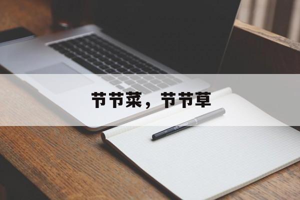 节节菜，节节草-第1张图片-