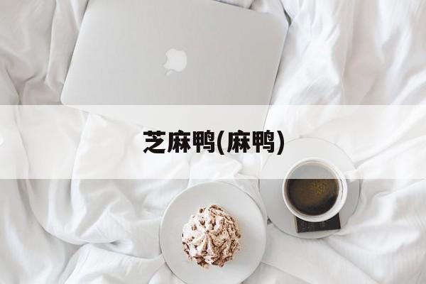 芝麻鸭(麻鸭)-第1张图片-
