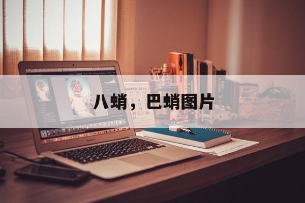 八蛸，巴蛸图片-第1张图片-
