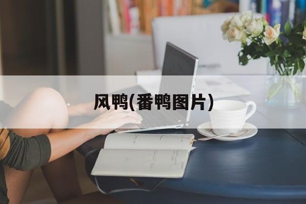 风鸭(番鸭图片)-第1张图片-