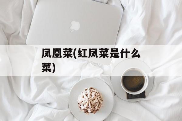 凤凰菜(红凤菜是什么菜)-第1张图片-