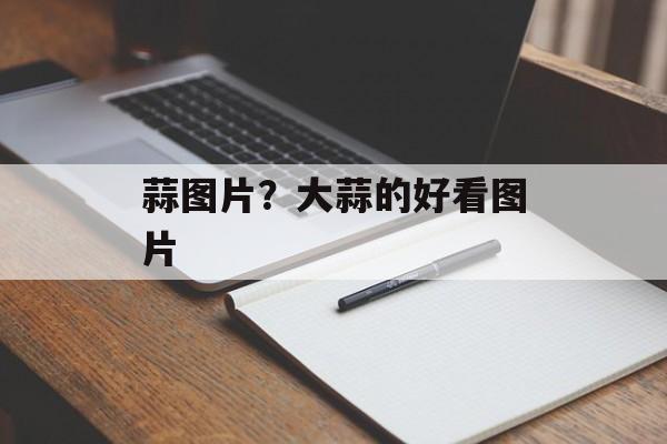 蒜图片？大蒜的好看图片-第1张图片-