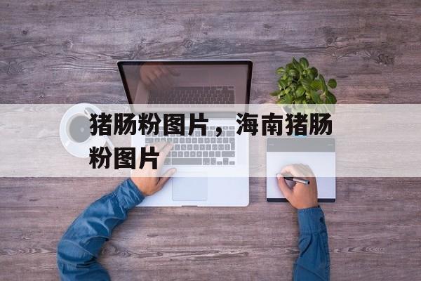 猪肠粉图片，海南猪肠粉图片-第1张图片-