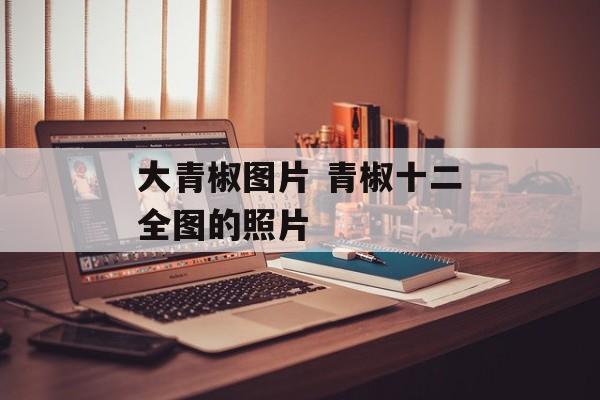 大青椒图片 青椒十二全图的照片-第1张图片-