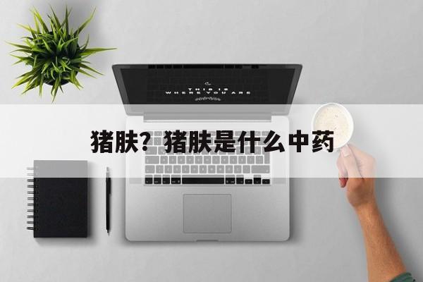 猪肤？猪肤是什么中药-第1张图片-
