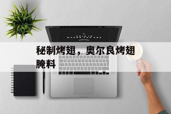 秘制烤翅，奥尔良烤翅腌料-第1张图片-