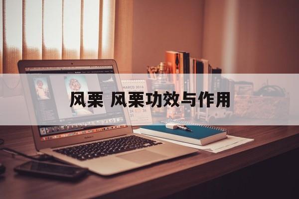 风栗 风栗功效与作用-第1张图片-