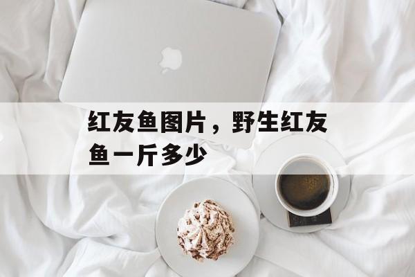 红友鱼图片，野生红友鱼一斤多少-第1张图片-