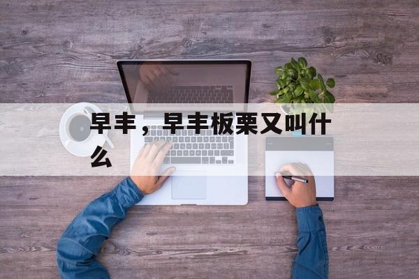 早丰，早丰板栗又叫什么-第1张图片-