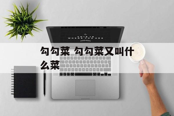 勾勾菜 勾勾菜又叫什么菜-第1张图片-