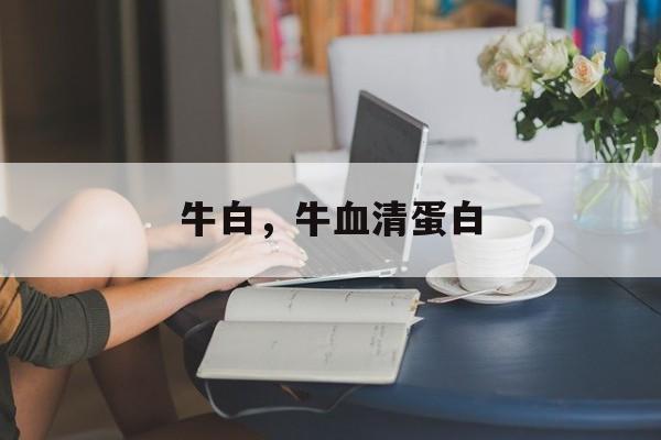 牛白，牛血清蛋白-第1张图片-