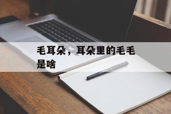 毛耳朵，耳朵里的毛毛是啥-第1张图片-