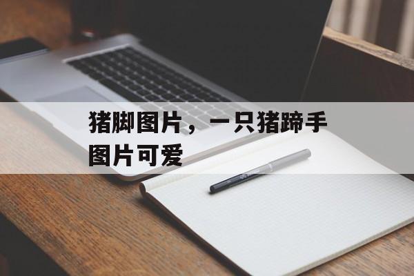 猪脚图片，一只猪蹄手图片可爱-第1张图片-