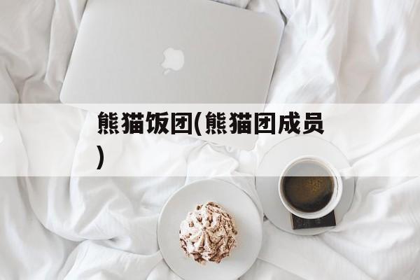 熊猫饭团(熊猫团成员)-第1张图片-
