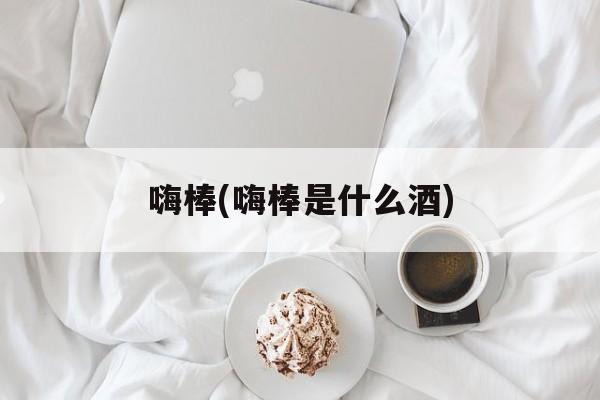 嗨棒(嗨棒是什么酒)-第1张图片-